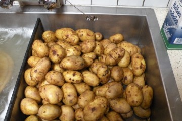 Friedheim - Kartoffelparty
